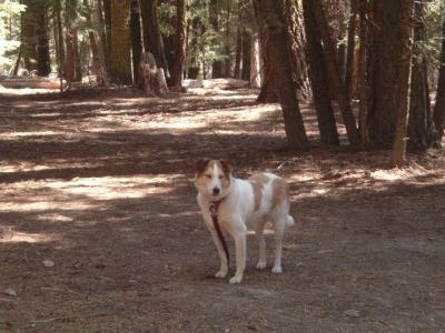 DSCF0734.JPG