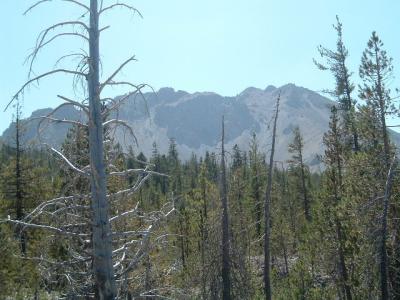 DSCF0736.JPG