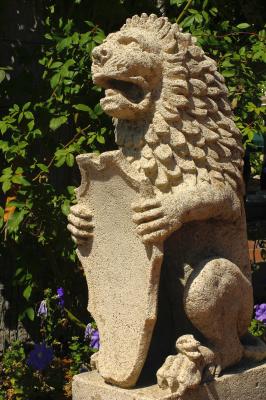 IMG_2560.JPG