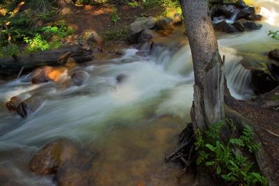 CRW_8833.jpg