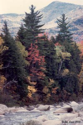 Pemigewasset in Fall