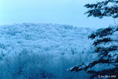 Winter Mountain