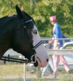 _RW_0460 1a2.jpg
