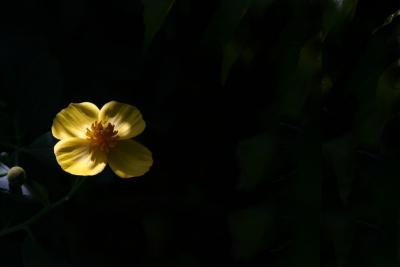 Alone