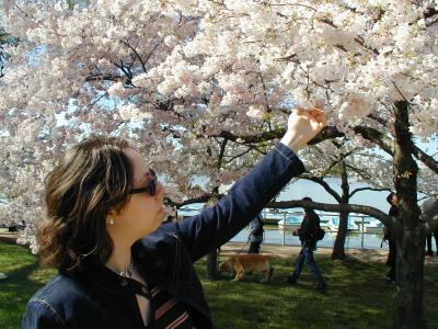 Debbie and the Cherry Blossoms