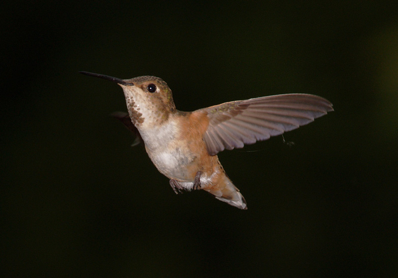hb05_06.JPG