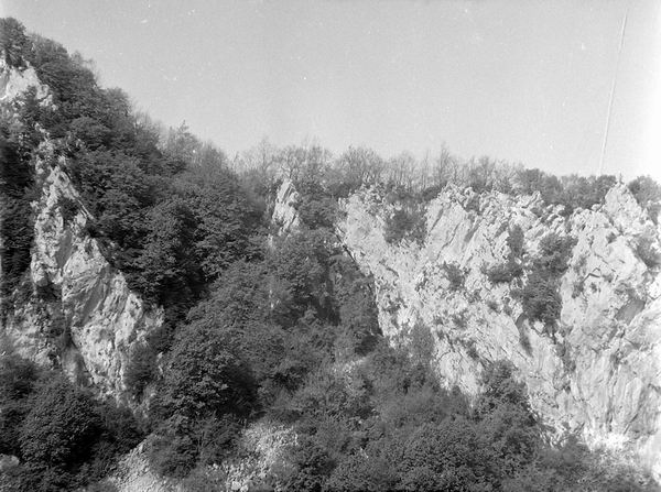 Oct-Dc 1959  Redcouvert en 1958, le futur royaume de Sesto - Dfrichage et explo, en 1959