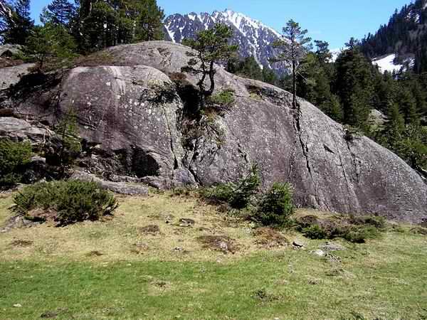 Ces blocs polis signent le passage des grands glaciers