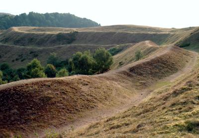 The Herefordshire Beacon.