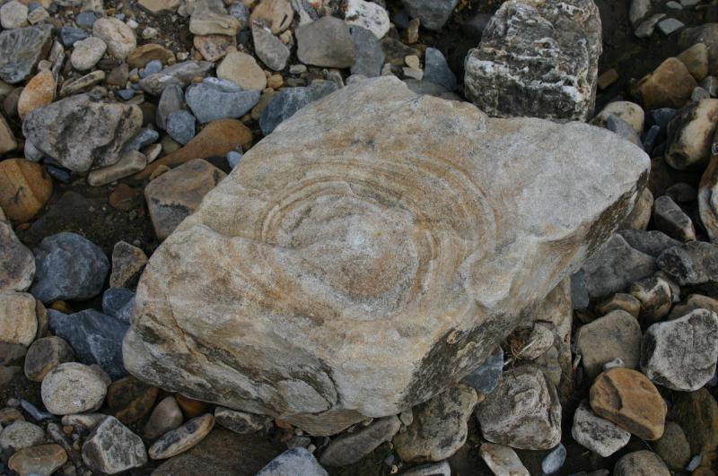 Rock or Wood.jpg