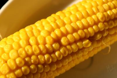 u18/joony/medium/43050260.cornSM.jpg