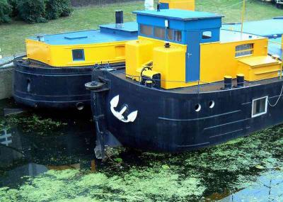 nearby boats