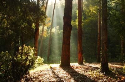 DSC_3463-05-05-05-LightGame.jpg