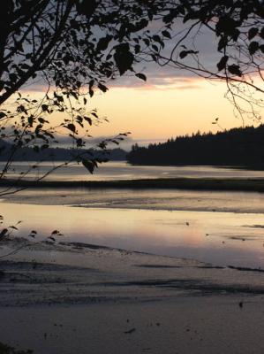 Oyster Bay Estuary