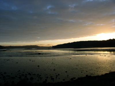 Oyster Bay Estuary