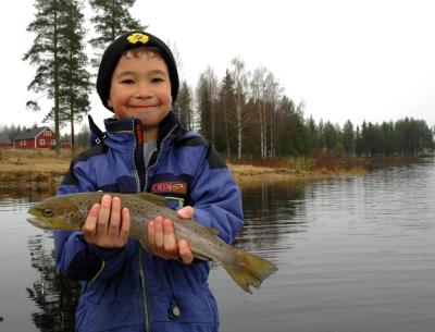 browntrout5.jpg