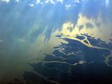 Florida estuaries. gulf of Mexico