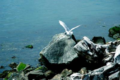 040822 Landing