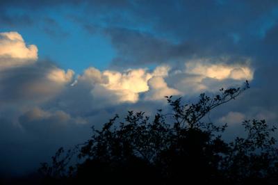 040826 Evening Clouds