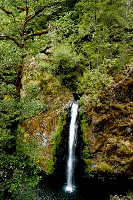040821 Drift Creek Falls