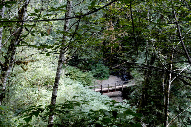 040821 Foot Bridge