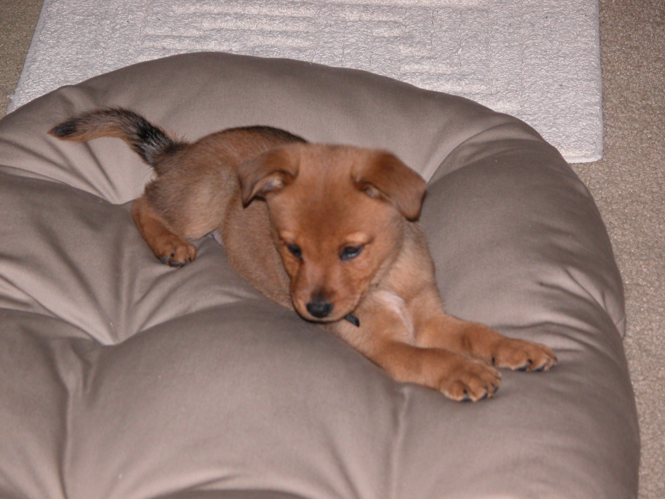 DSCN0496.JPG