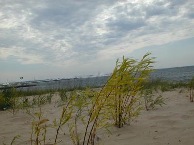 Frankfort Breakwater Spray