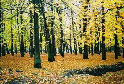 Sügis - Autumn 2004