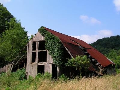 Viney Barn