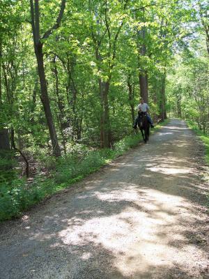 Rider on Trail