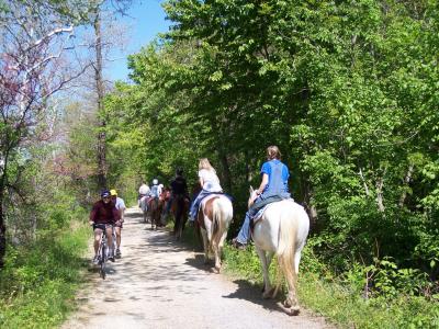 Traffic on the trail