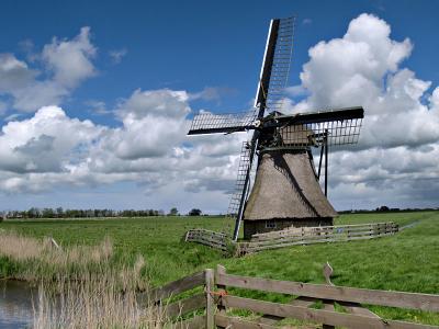 Dutch Landscape with Windmill