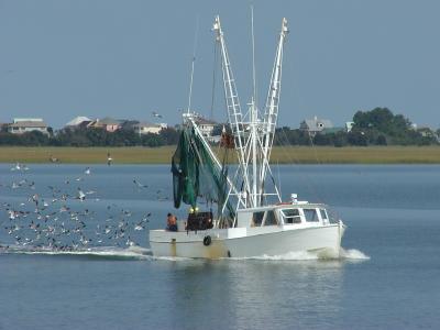 Shrimp Boat Beaufort, SC.JPG