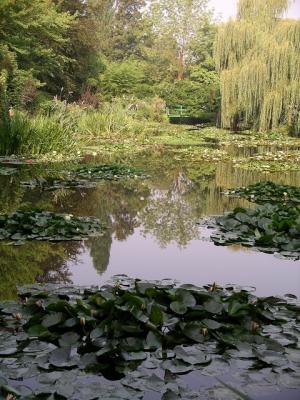 Giverny, le jardin d'eau.