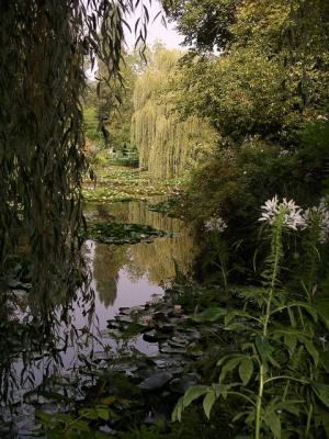Giverny,  le jardin d'eau.