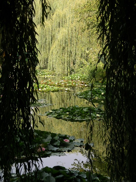 Giverny,  le jardin deau.