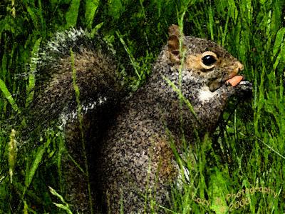 Photoshop'ed Squirrel
