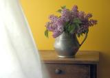 lilacs by the window