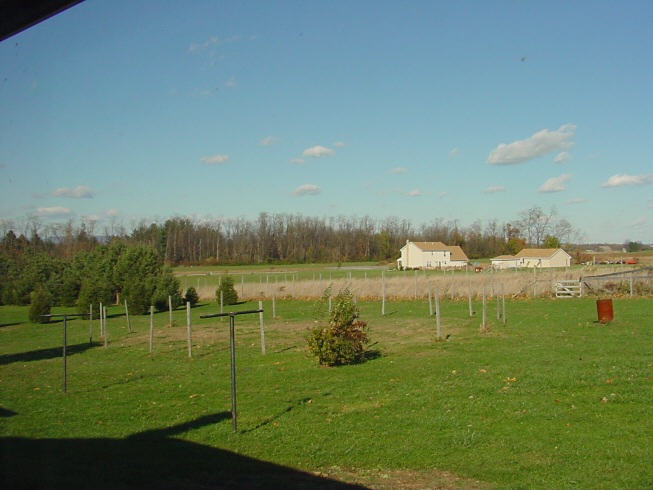 out back, from left, pan 1