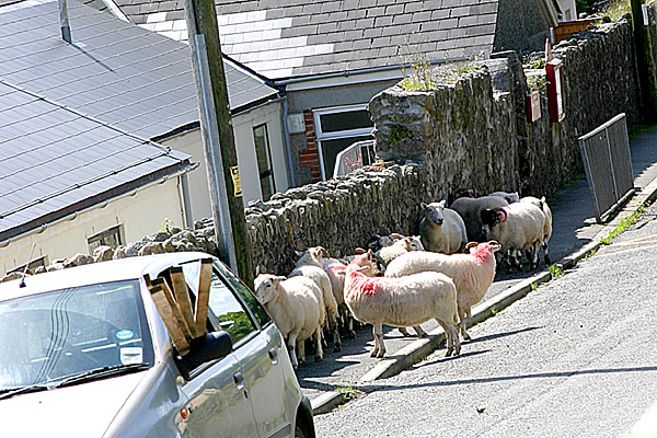 21st August 2004 - new neighbours
