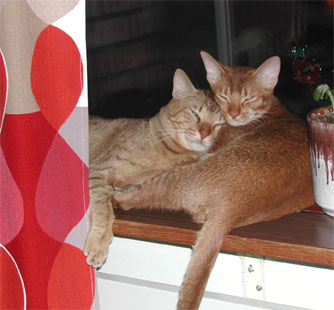 Sara & Prinsen 0412