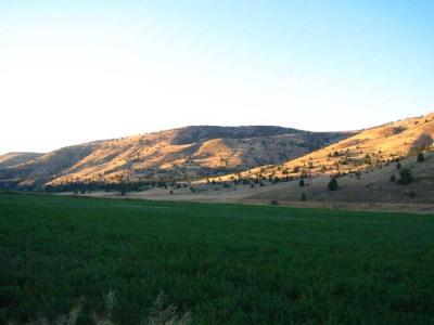 view-from-the-deck.jpg
