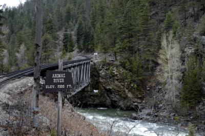 Animas river - Colorado