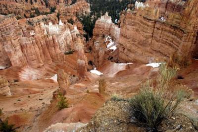 Bryce Canyon #1