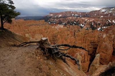 Bryce Canyon #2