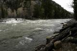 Animas river - Cascade - Colorado