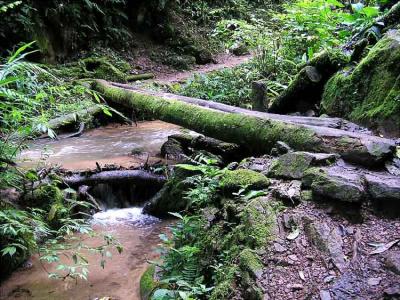 Tirol Cascade