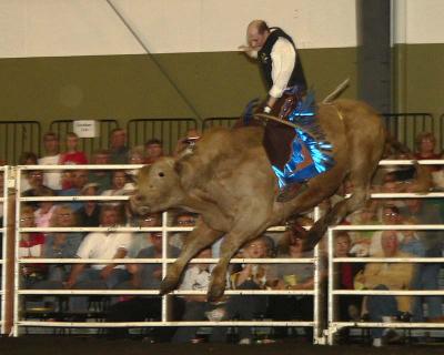 Bull Riders