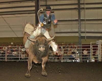 Bull Riders