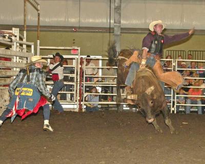 Bull Riders